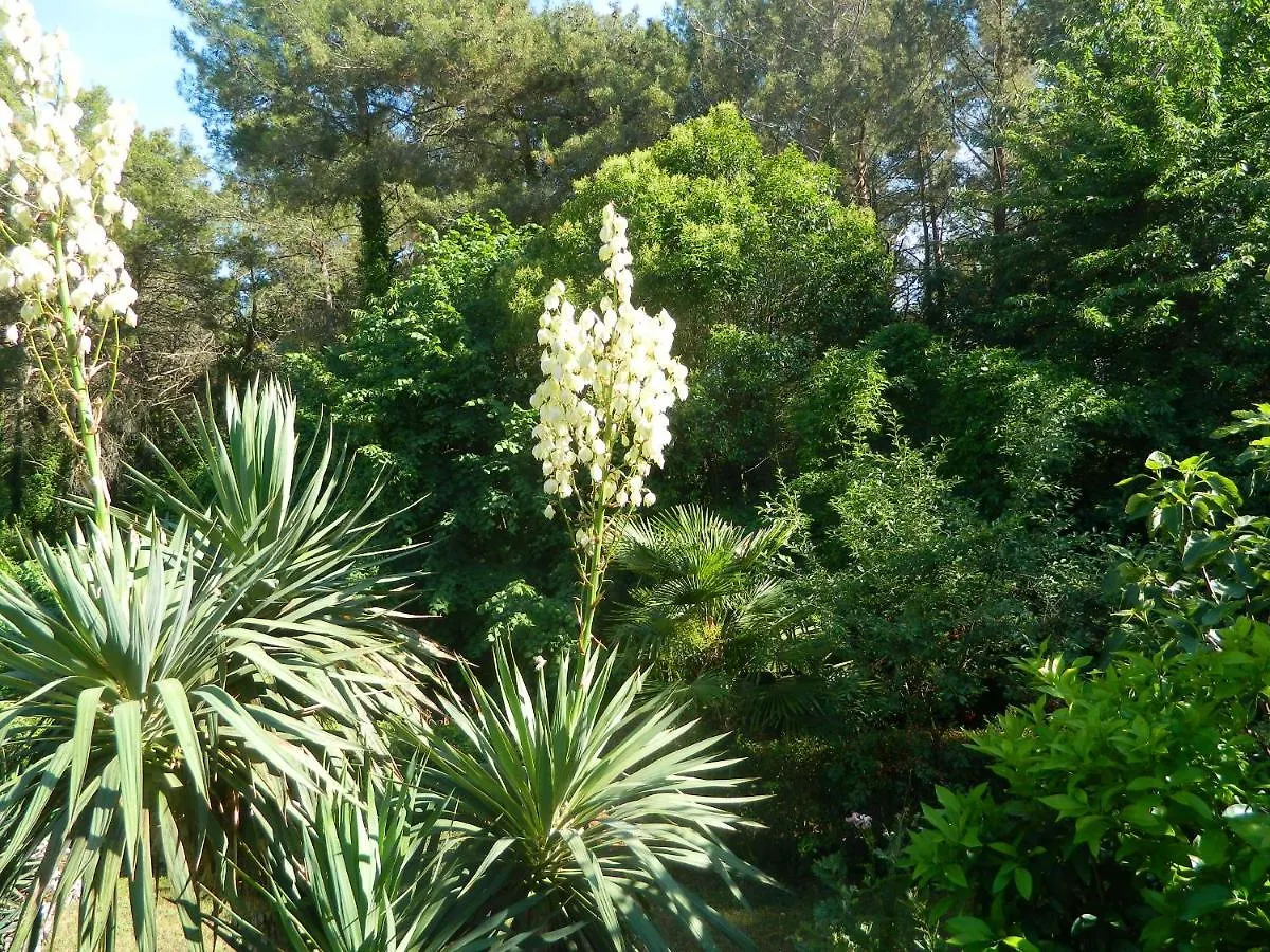 Apartments Vila Vanda Poreč